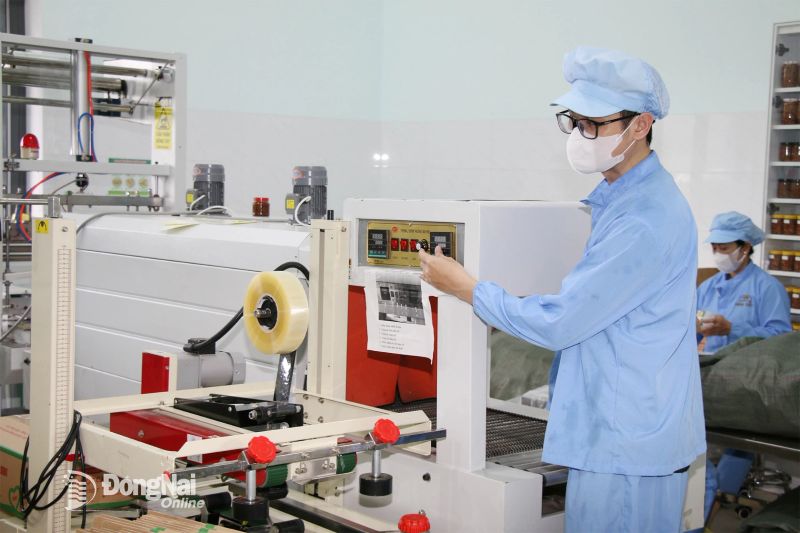 kts 03 2 20251120184345 20251120191229